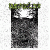 INTERNAL ROT "Hack session"