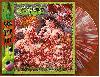 LORD GORE "The autophagous orgy" [US IMPORT, SPLATTER VINYL!]