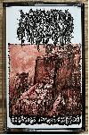 MEPHITIC CORPSE "Sickness attracts sickness"