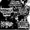 V.A. "GALLING PANDEMIC CACOPHONY"