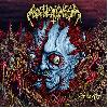 NOTHINGNESS "Godslaughter"