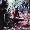 OPERA IX "The call of the wood" (slipcase CD)