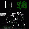 PERVERTED CEREMONY / WITCHCRAFT "Split" [US IMPORT!]