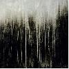 PLAGUE THIRTEEN "Eroded" [MARBLED VINYL!]