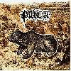PUCA "Demo / Of rot and rainfall" [YELLOW VINYL!]