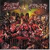 IMPETIGO / PURULENT SPERMCANAL "Split"