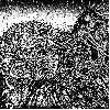 PUTREFACTION SETS IN / FESTERDECAY "Split" [RED VINYL, US IMPORT!]