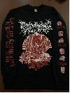 REGURGITATE "Effortless regurgitation of bright red blood" [IMPORT, LONGSLEEVE!]