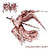 RIDE FOR REVENGE "Angels fly low" [US IMPORT!]
