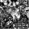ROSKOPP / SICK DESTROYER "Split" [COKE BOTTLE VINYL!]