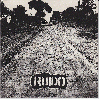 RUIDO "De aqui en adelante" (Six Weeks, 1999)
