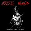 SADISTIK EXEKUTION / SWAMP "Split"