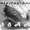 SHAA "Meditazione" (1996)