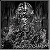 SHED THE SKIN "We of scorn"