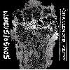 SONS OF SADISM / CHALLENGER CREW "Split"