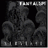 TANTALUM "s/t"