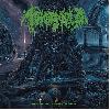 TOMB MOLD "Planetary clairvoyance" [IMPORT!]