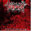 TORTURE INCIDENT "The deadly efficiency of napalm" [MARBLED VINYL, IMPORT!]