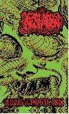 VERMINOUS INCUBATION "Bleeding in parasitic union"