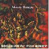 VICIOUS RUMORS "Soldiers of the night"